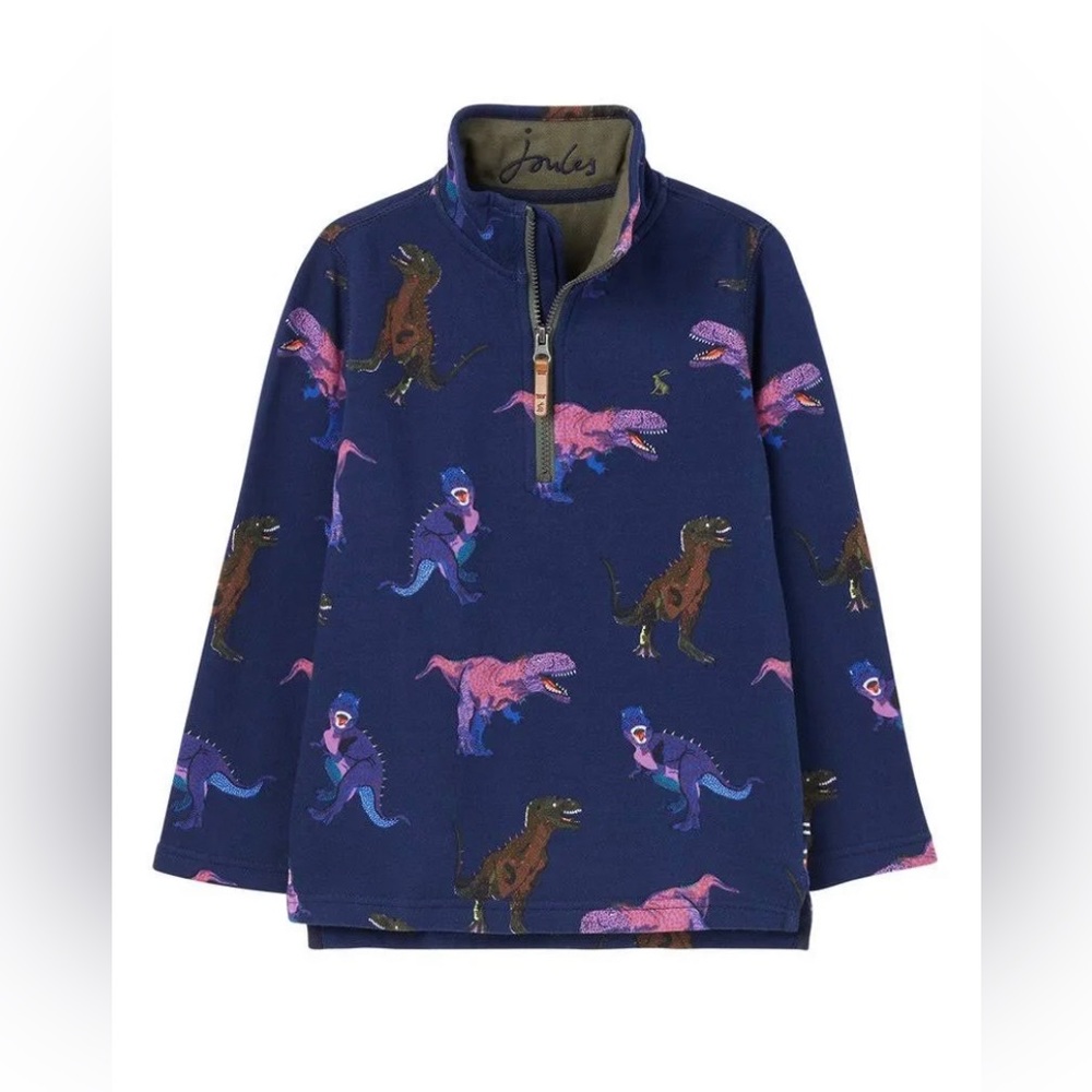 NWT Dale 🦕 🦖 Dino Pullover